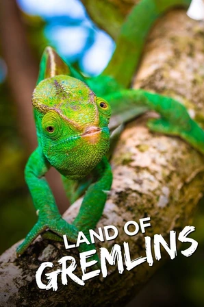 A Incrível Madagascar